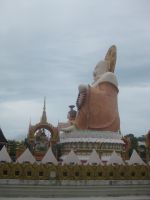  Pig Buddhan läheisyydessä Whit Plai Laemi temppeli alue